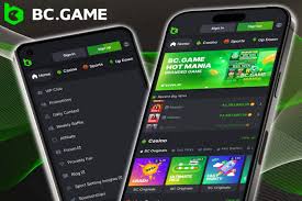 Как осуществить вывод средств на платформе BC.Game Как осуществить вывод средств на платформе BC.Game
